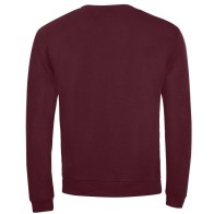 Sol's Spider 01168 Unisex Sweater Brushed Fleece 260 gr. size S-XL