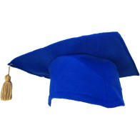 Adult Graduation Toga with Long Satin Gown & Hat MARK905