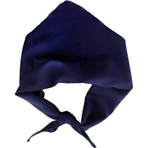 Greek Parade Scarf Triangle Poplin – One Size MARK844