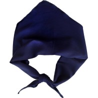 Greek Parade Scarf Triangle Poplin – One Size MARK844