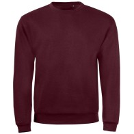 Sol's Spider 01168 Unisex Sweater Brushed Fleece 260 gr. size S-XL